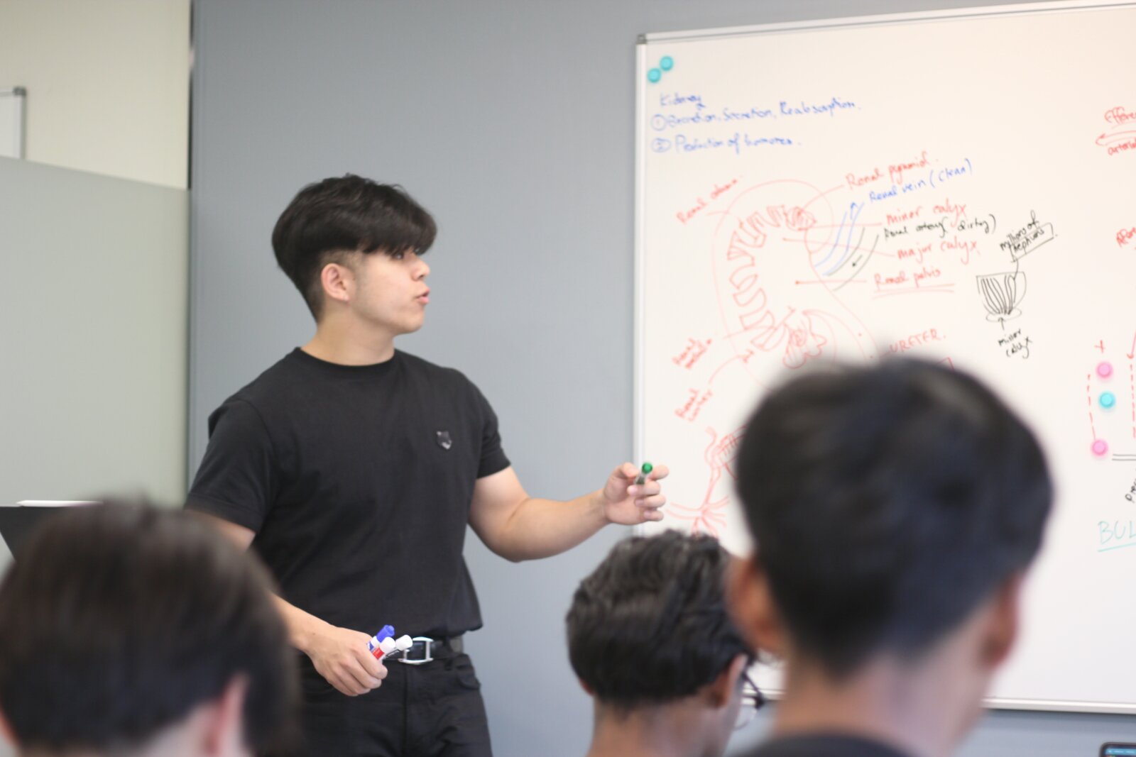 Synapse Education HSC tutoring class