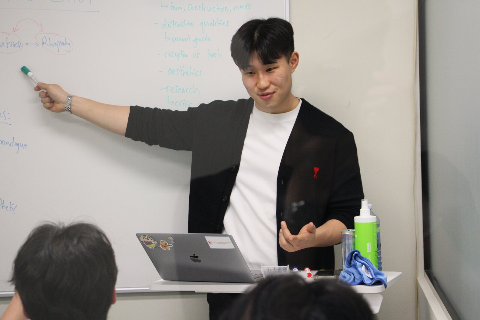 Synapse Education tutor teaching